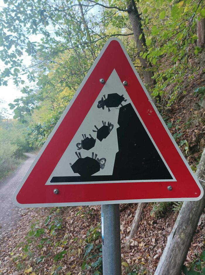Precaución: Caída de ovejas 