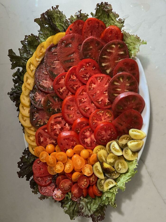 Fuente de tomate de cosecha propia