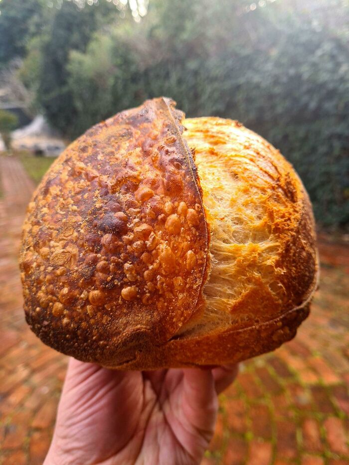 Harina, agua, sal. El pan de hoy me ha encantado