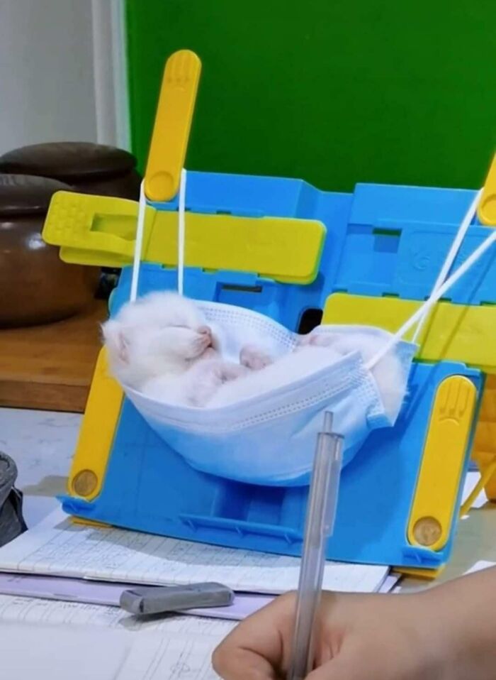 Un pequeño delincuente durmiendo la siesta
