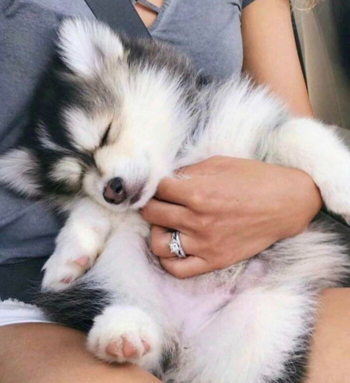 Cómo duerme 