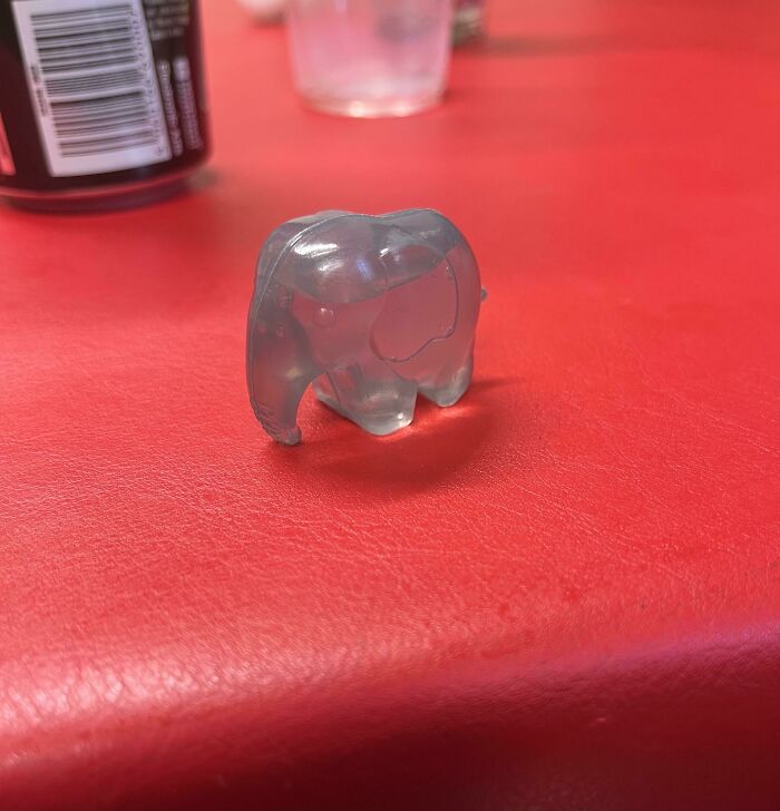 Dejaron un pequeño elefante lleno de agua en el piso de una fiesta. Estamos debatiendo con mis compañeros de casa sobre para qué sirve 