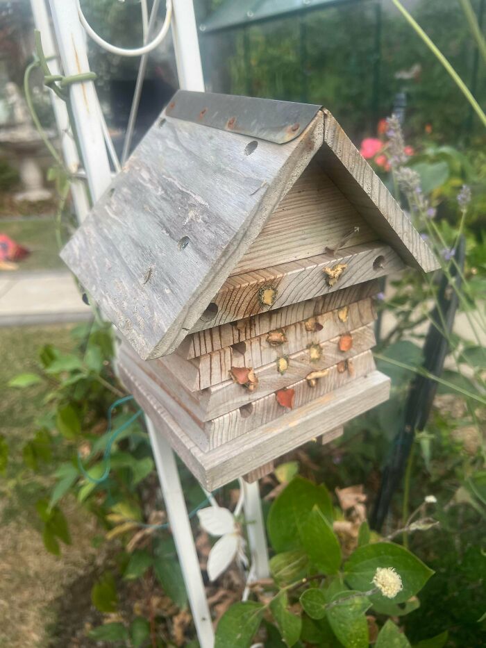 ¿Para qué sirve esta casita de madera que hay en mi jardín?