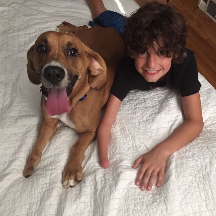 Hemos buscado un compañero para nuestro hijo de 10 años durante unas semanas y ayer encontramos al candidato perfecto