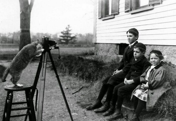 ¿Cómo creen que se tomaron todas esas fotos? 1909