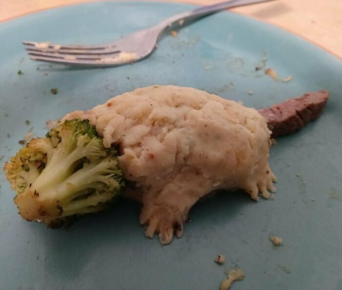 Zarigüeyalimento