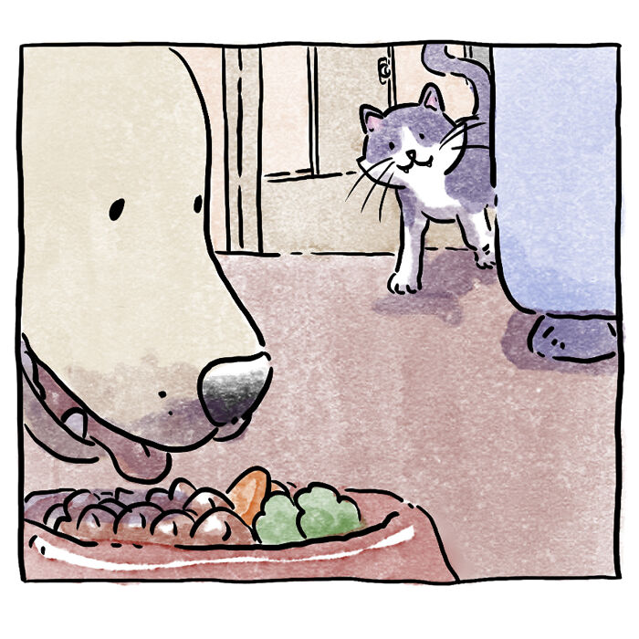 Este reconfortante cómic acerca de la vida con mascotas muestra que una imagen vale más que mil palabras
