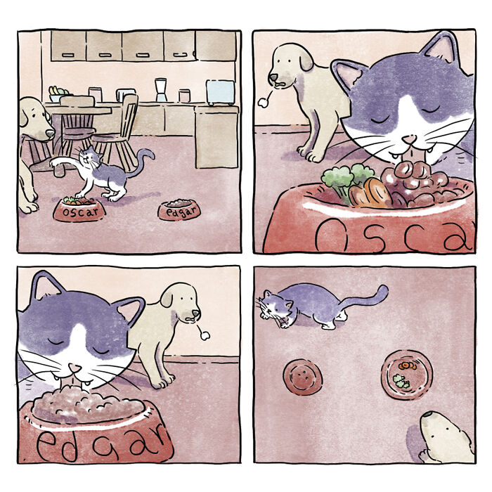 Este reconfortante cómic acerca de la vida con mascotas muestra que una imagen vale más que mil palabras