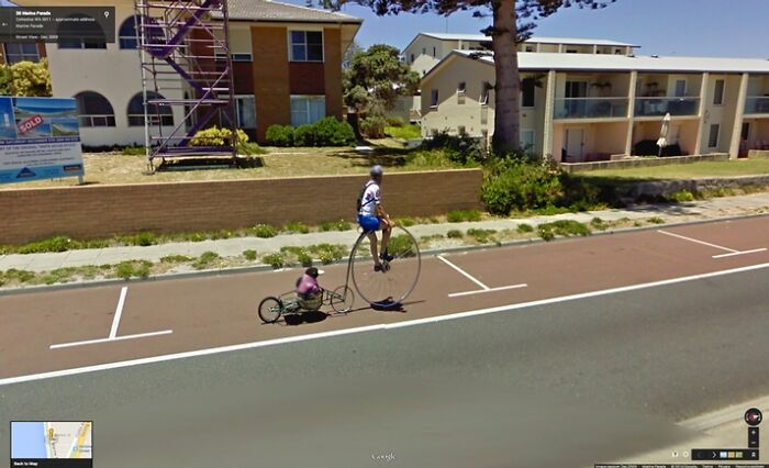 Pingüino en una bicicleta Penny Farthing