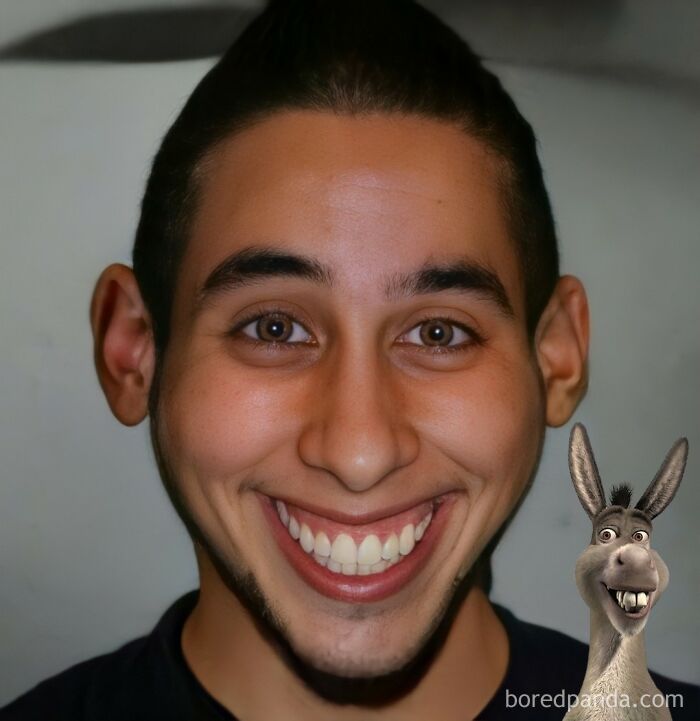 Burro