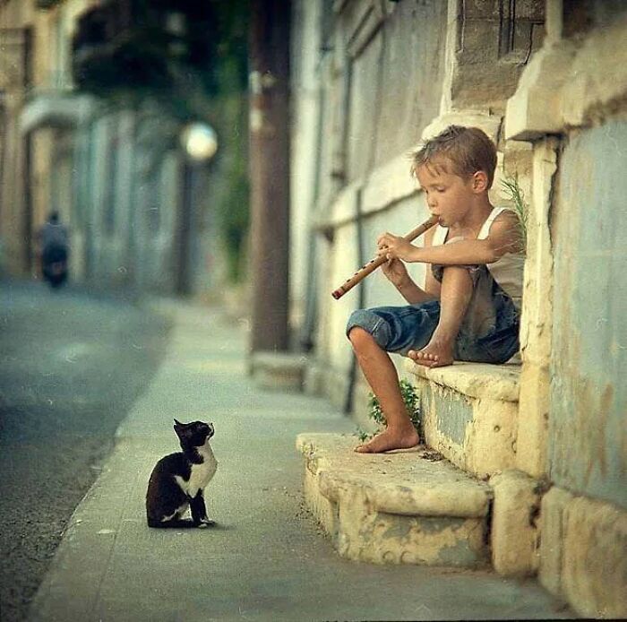 Instagram Account Collects And Shares Pictures That Capture Chance Encounters In Public Places (50 New Pics)
