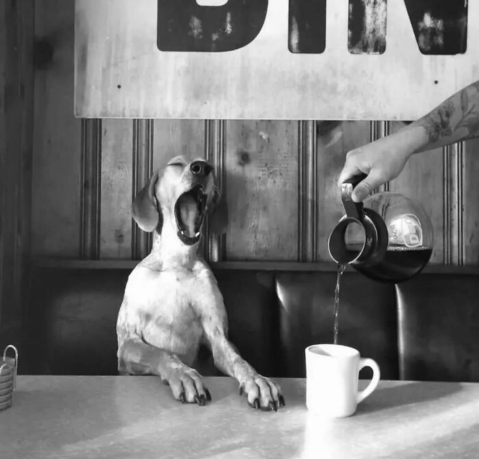 Instagram Account Collects And Shares Pictures That Capture Chance Encounters In Public Places (50 New Pics)