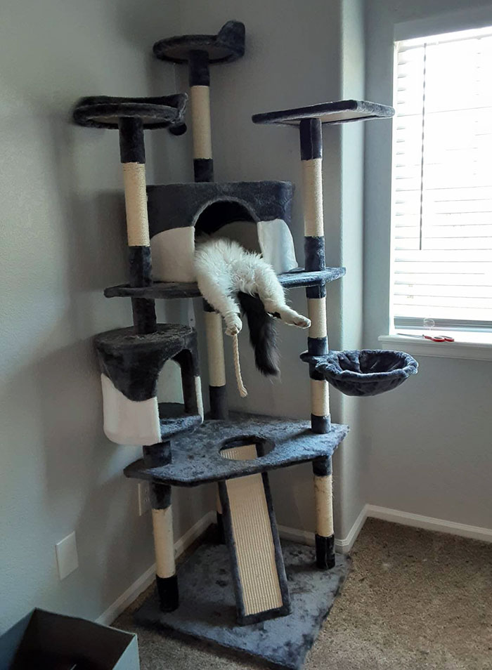 La encontré durmiendo así en su casita