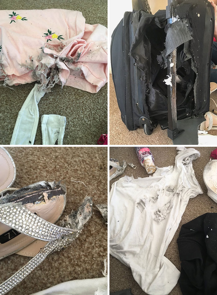 Unos £100 en daños. Cuando el aeropuerto de Gatwick quemó y arruinó mi maleta, me dieron £37.50 un mes después. En verdad, solo me queda reir