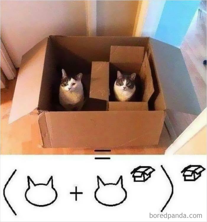 This Facebook Group Is All About “Science Humor”, Here Are 50 Of Their Most Hilarious Posts (New Pics)