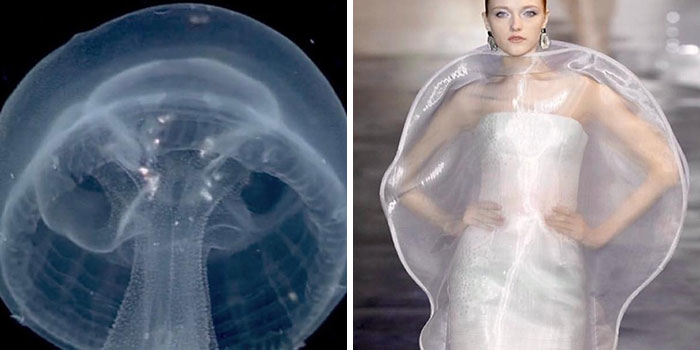 La moda suele inspirarse en la naturaleza y esta cuenta de Instagram lo demuestra (30 nuevas fotos)