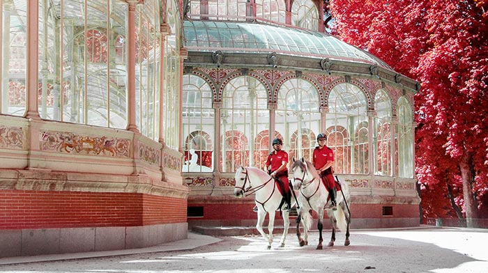 Capturé la ciudad de Madrid con hermosas fotografías infrarrojas