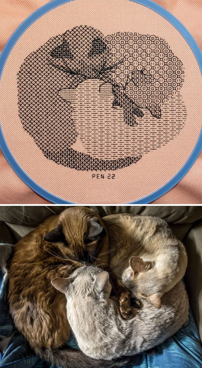 ¡Gatos apilados en blanco y negro!