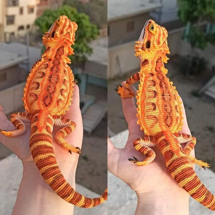 Dragón barbudo de ganchillo