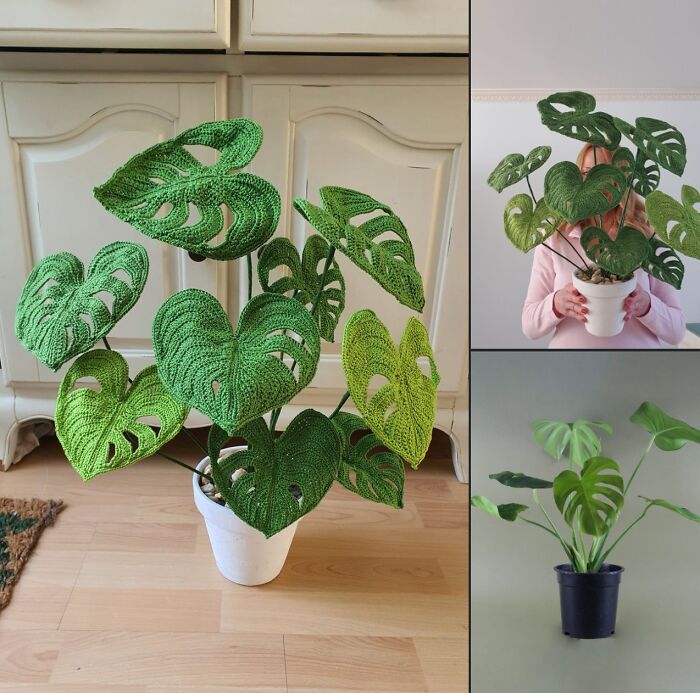 Me hice una planta de Monstera a ganchillo que no se muere