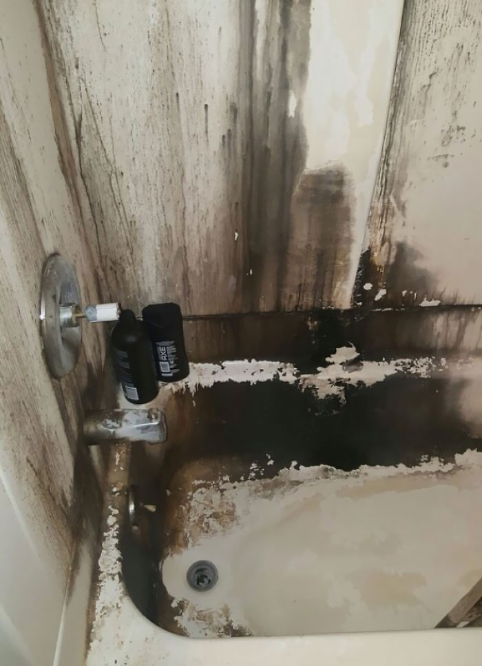 La bañera de mi compañero de piso