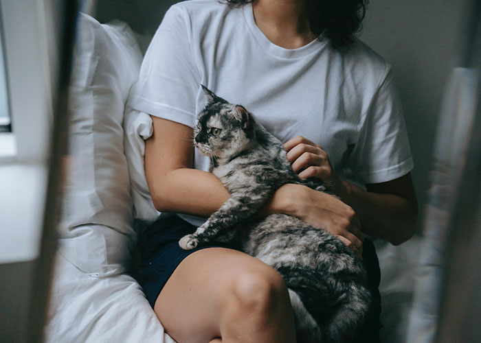 35 Reglas innegociables aunque extrañas de la gente en sus hogares