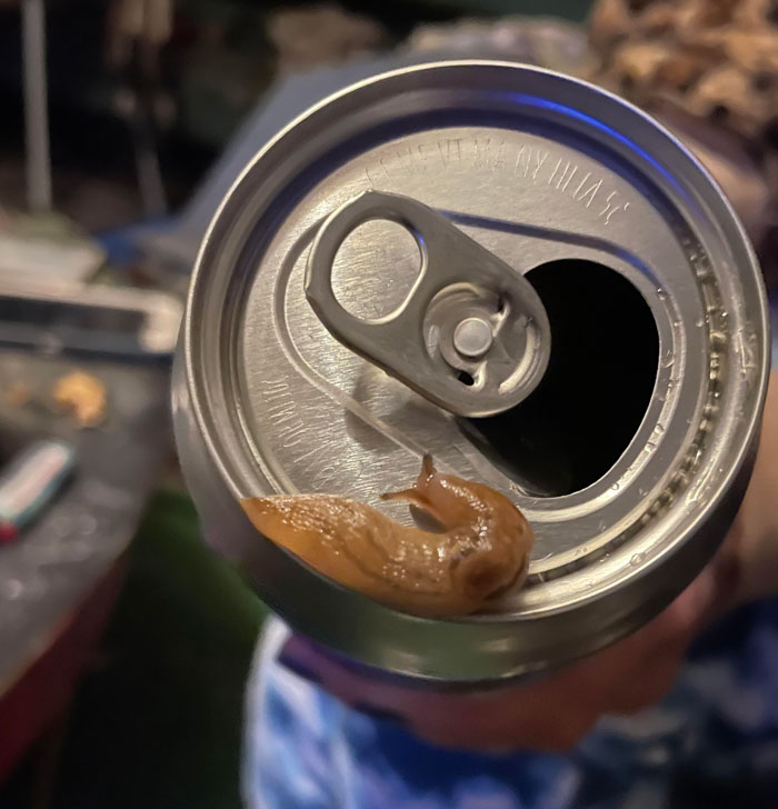 Papá casi se lo bebe, pero definitivamente se tocaron los labios