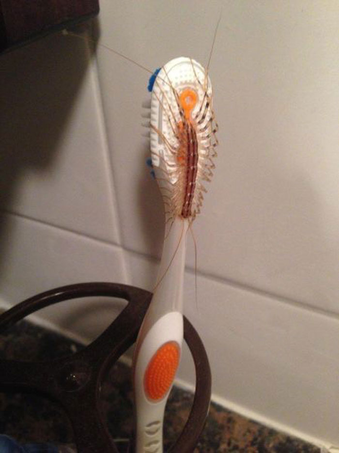 Te cepillas los dientes y te das cuenta de que hoy había más cerdas