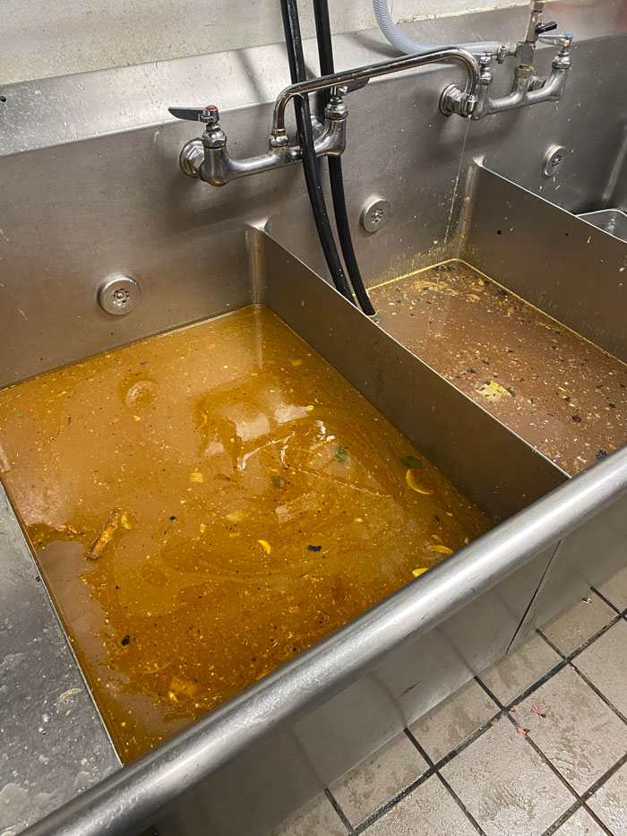 ¡Sopa del día! (Platón se niega a cambiar el agua y se limita a decir que lleva 40 años lavando platos)