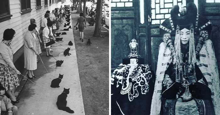 35 Sucesos de la historia que merecían ser fotografiados