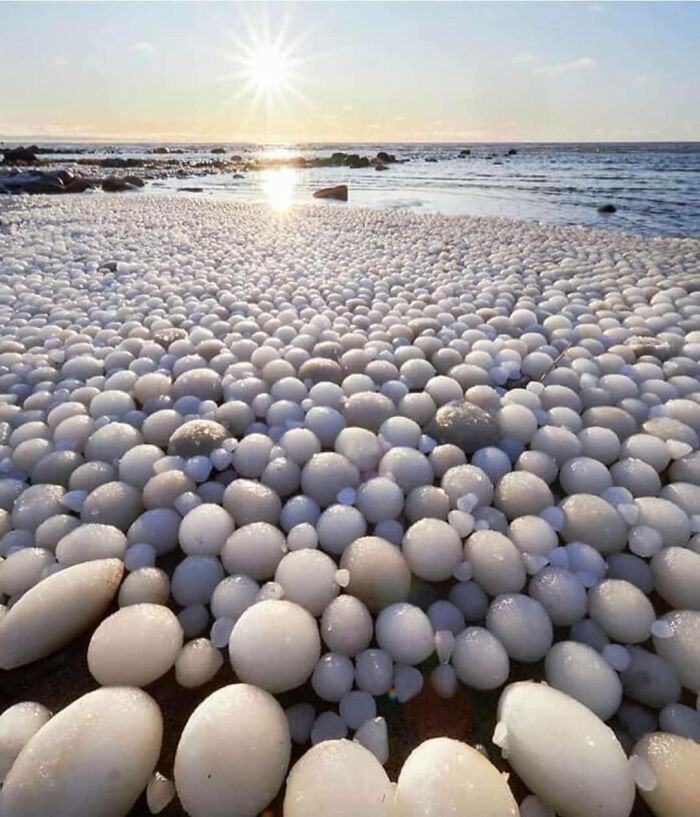 Huevos de hielo, miles de bolas de hielo cubren una playa de Finlandia, debido a un fenómeno que se produce cuando el hielo es arrollado por el agua y el viento