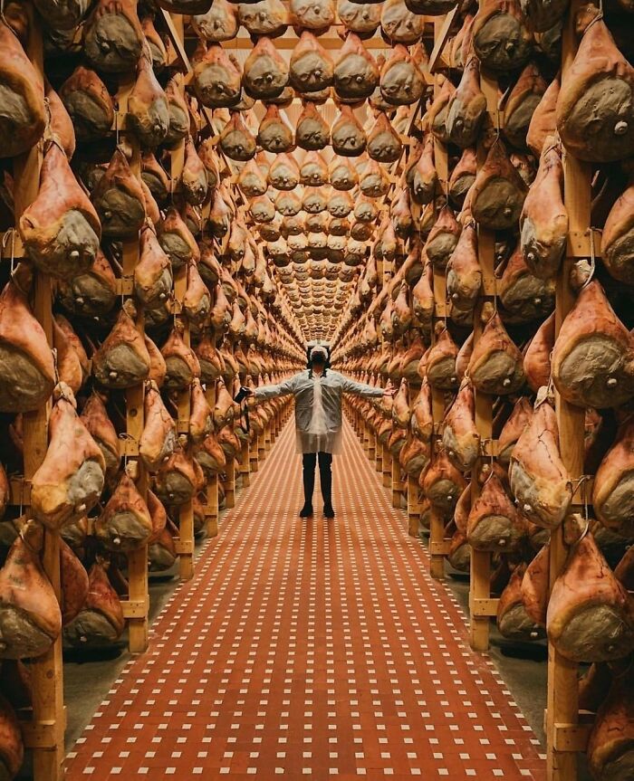 "Accidental Surrealism": 50 Unbelievable Pictures That Make One Do A Double Take (New Pics)