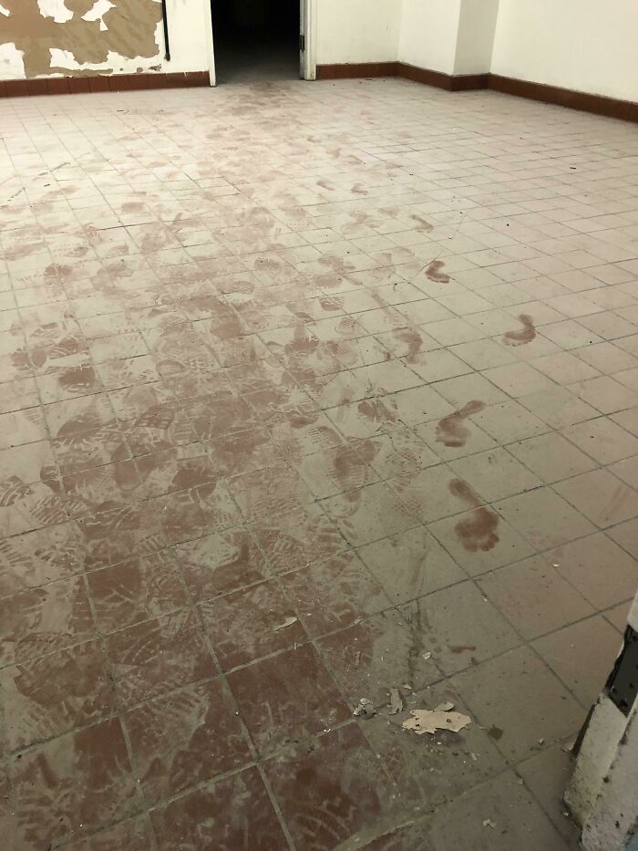 Parece que tuve un visitante mientras trabajaba solo en un gran sótano abandonado...