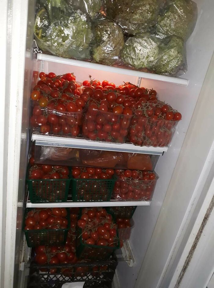 No podría inventarlo aunque quisiera