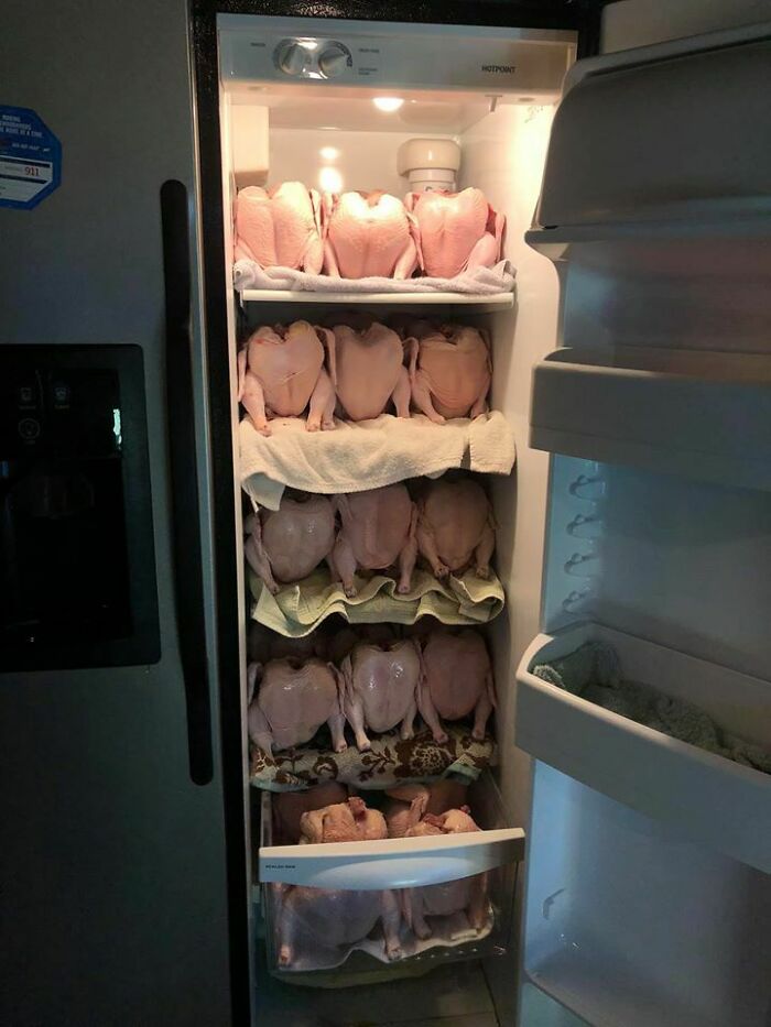 ¿Por qué la gallina cruzó el camino? Hmmm