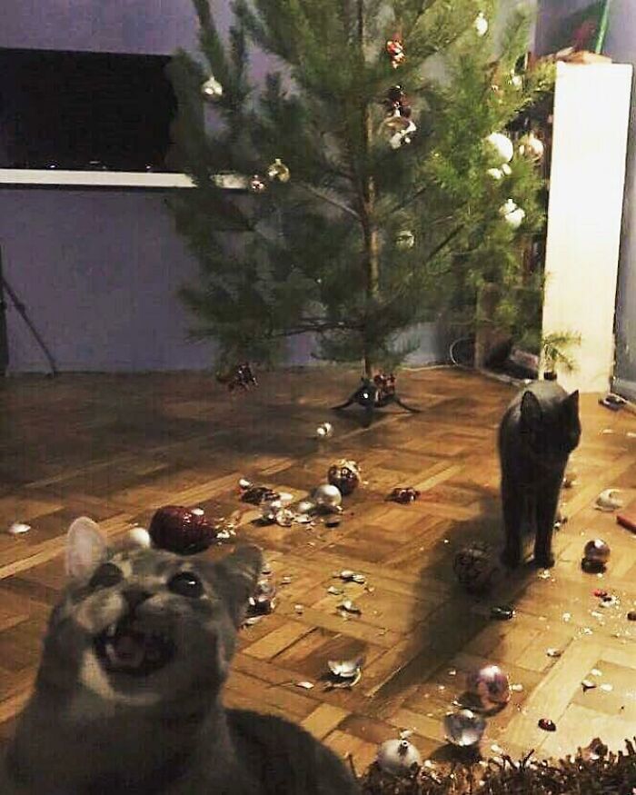 Ahora necesitamos nuevos adornos para el árbol de Navidad
