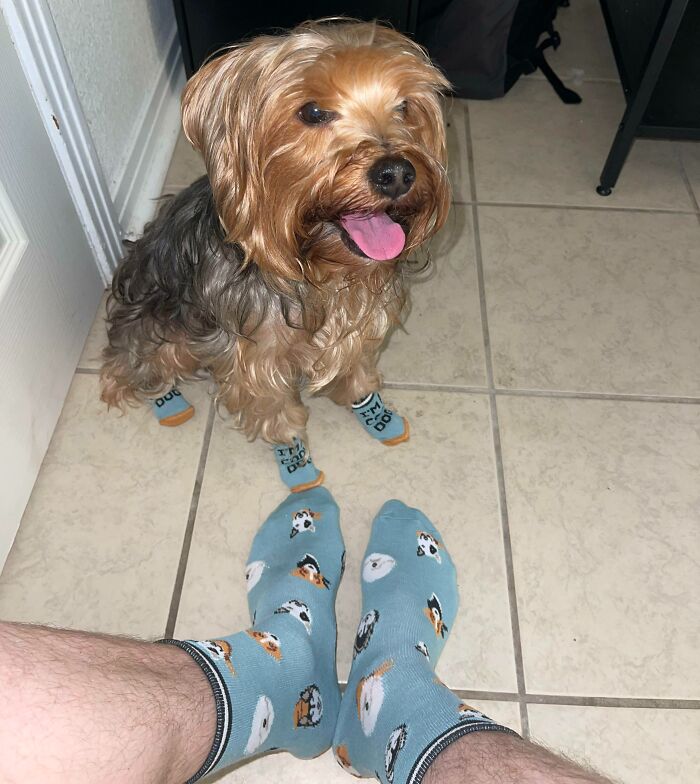 Mi perro y yo recibimos calcetines que combinan 