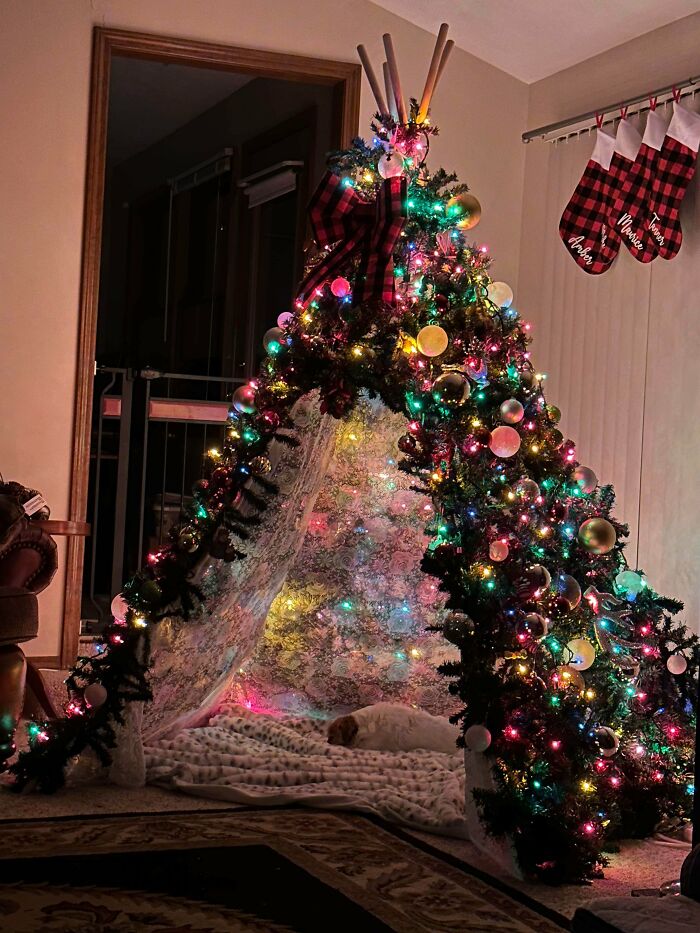 Nuestro árbol tipi