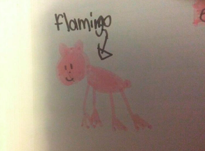 Ah sí, la inconfundible forma de un flamenco 