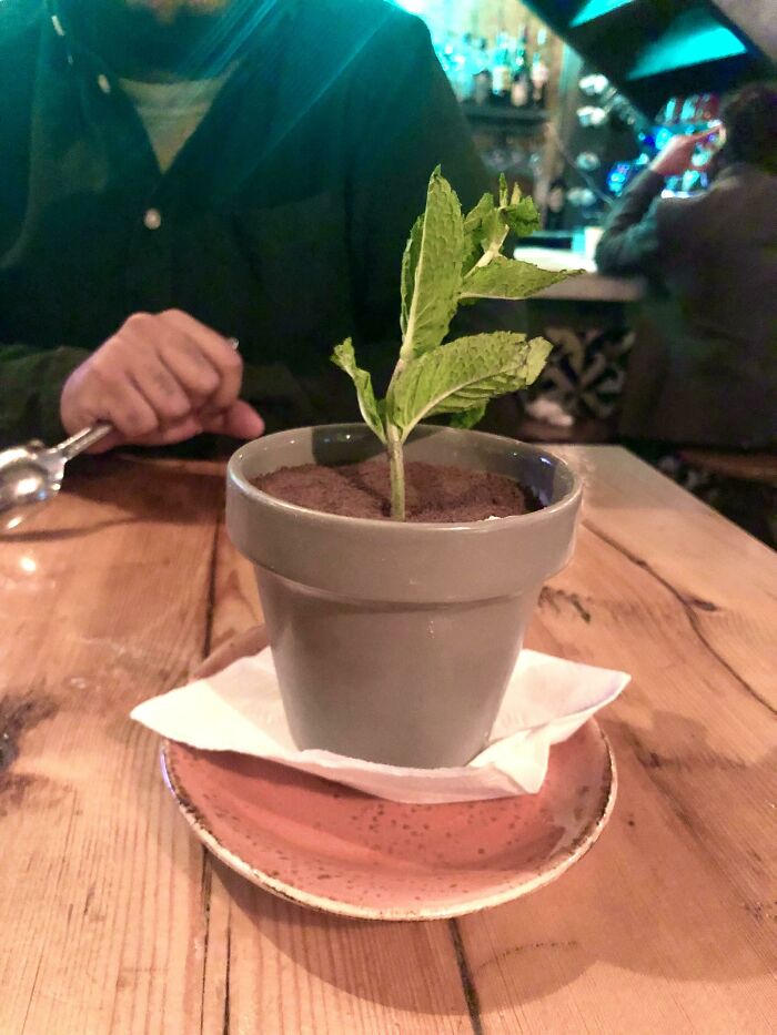 ¿Y si te dijera que es un tiramisú?