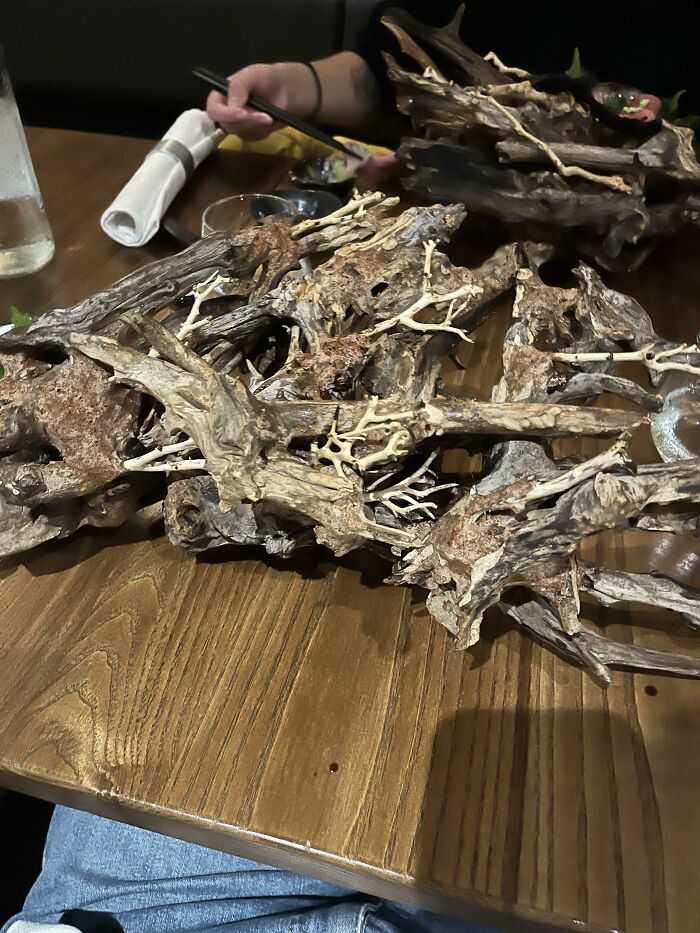 ¿Alguna vez has comido sushi escondido en la rama de un árbol?