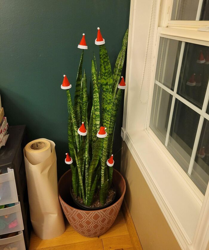 Mi árbol de Navidad lengua de tigre 