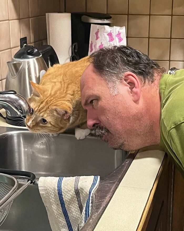 Mi cuñado ayudando a su amigo Dobby a buscar su neurona 