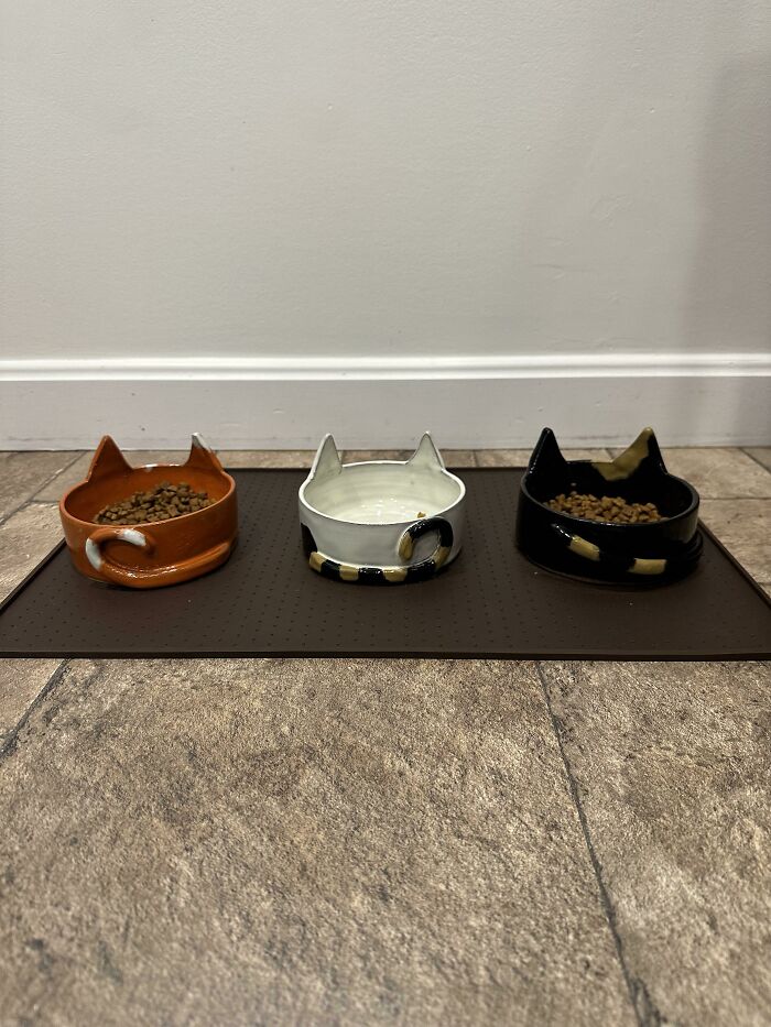 Hice tazones personalizados para mis gatos