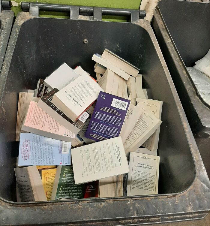 Trabajo en un centro comercial con una librería Indigo y encontré esto ayer, realmente me molestó