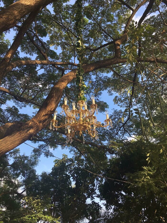 Candelabro abandonado al azar en el bosque