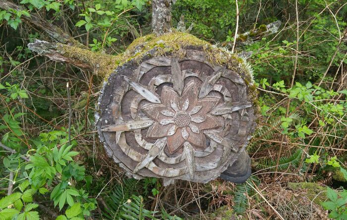 De paseo, encontrado en medio de un bosque