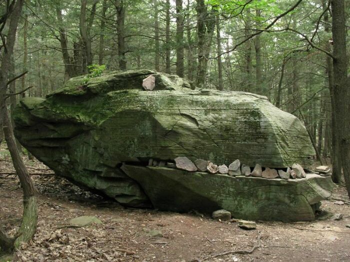Un amigo mío encontró este dinosaurio en una excursión el otro día