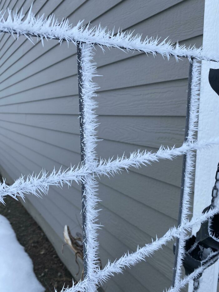 Nuestro invierno ha sido especialmente frío este año. Nunca había visto nada igual 