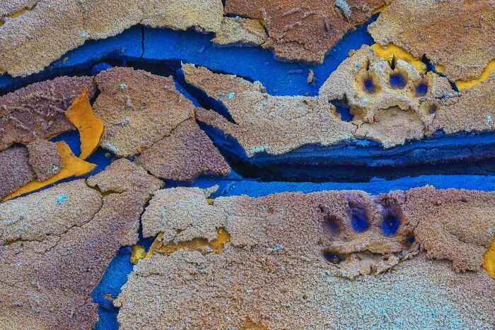 Categoría “Arte natural”: Segundo puesto, Huellas en color por Juan Garcia Lucas